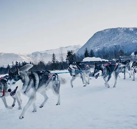 Casa de Férias Zu Hause In Tirol *